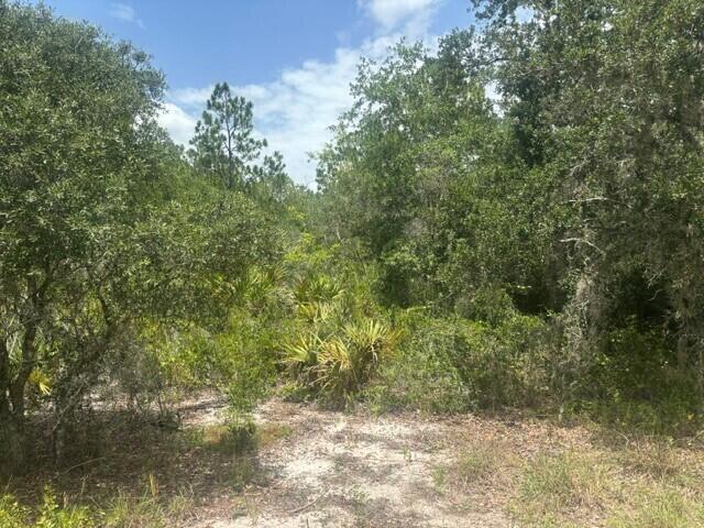 2225 West Wells Road Avon Park, FL 33825 - Photo 5 of 7 1 (1)
