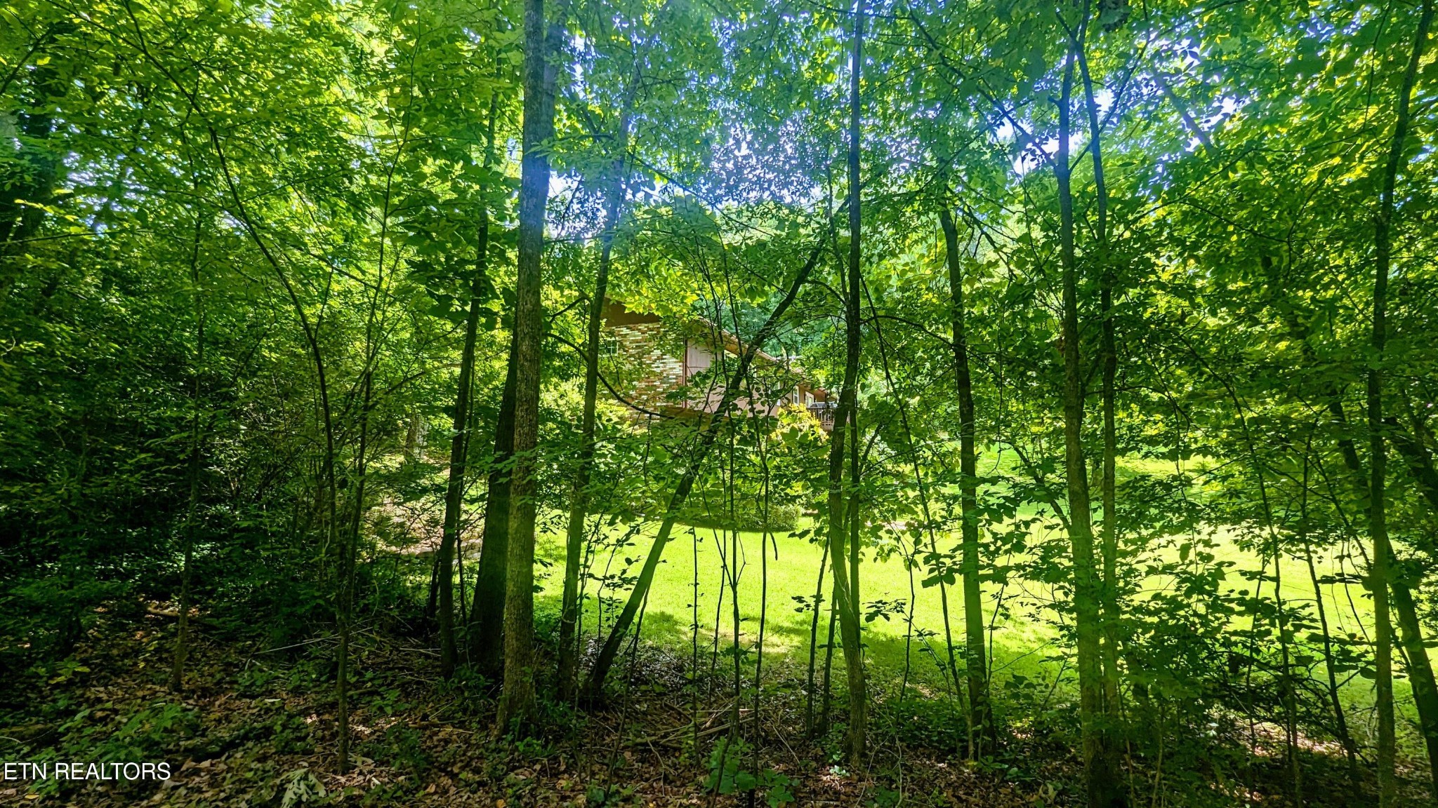 101 Concord Road Oak Ridge, TN 37830 - Photo 45 of 45