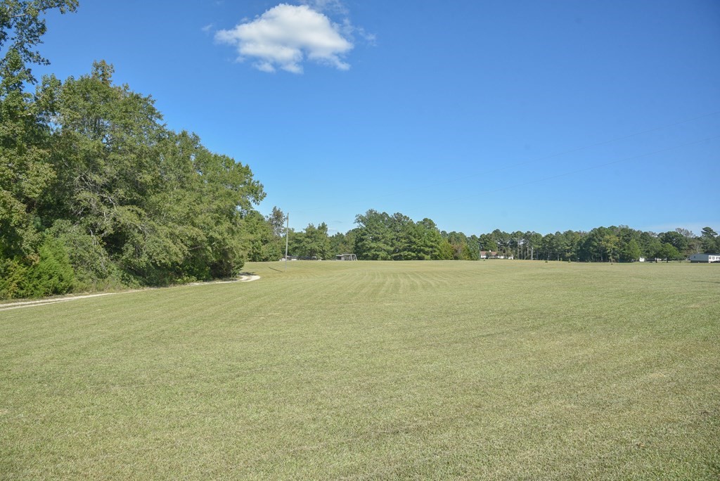 457 Harris Springs Road Waterloo, SC 29384 - Photo 3 of 29