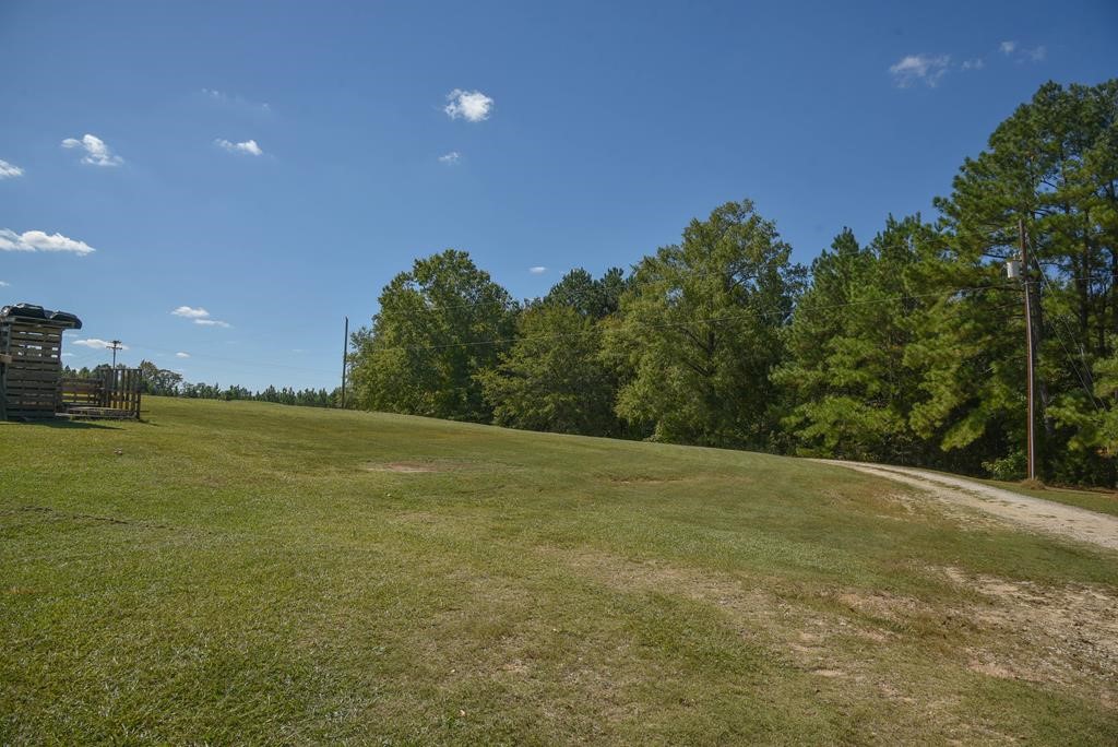 457 Harris Springs Road Waterloo, SC 29384 - Photo 7 of 29