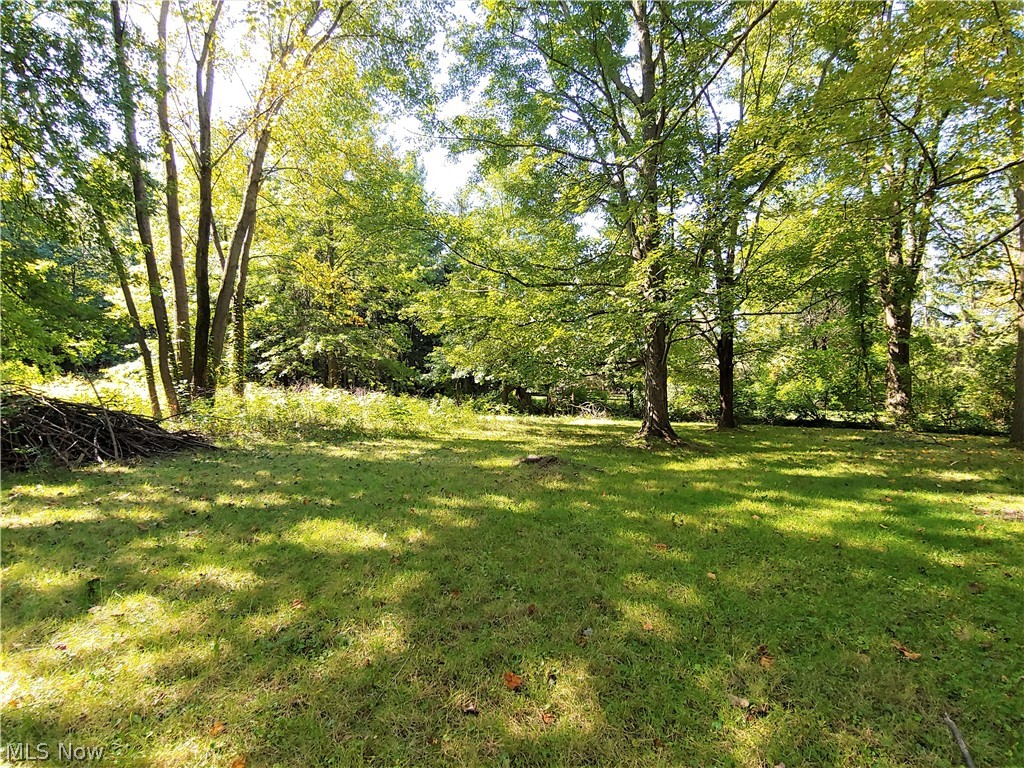 29400 Harvard Road Beachwood, OH 44122 - Photo 18 of 18 Yard
