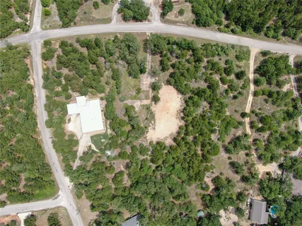 a view of a yard with plants
