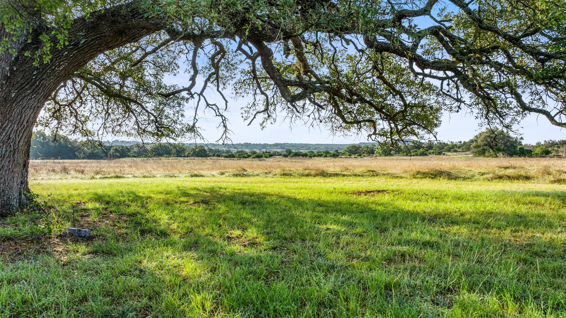 Lot 4 Vista Rdg Drive Round Mountain, TX 78663 - Photo 3 of 21 View of local wilderness with rural landscape