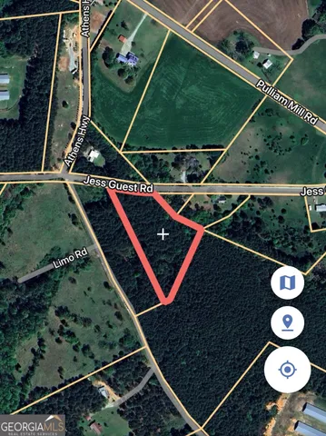 a view of a tree in a back yard