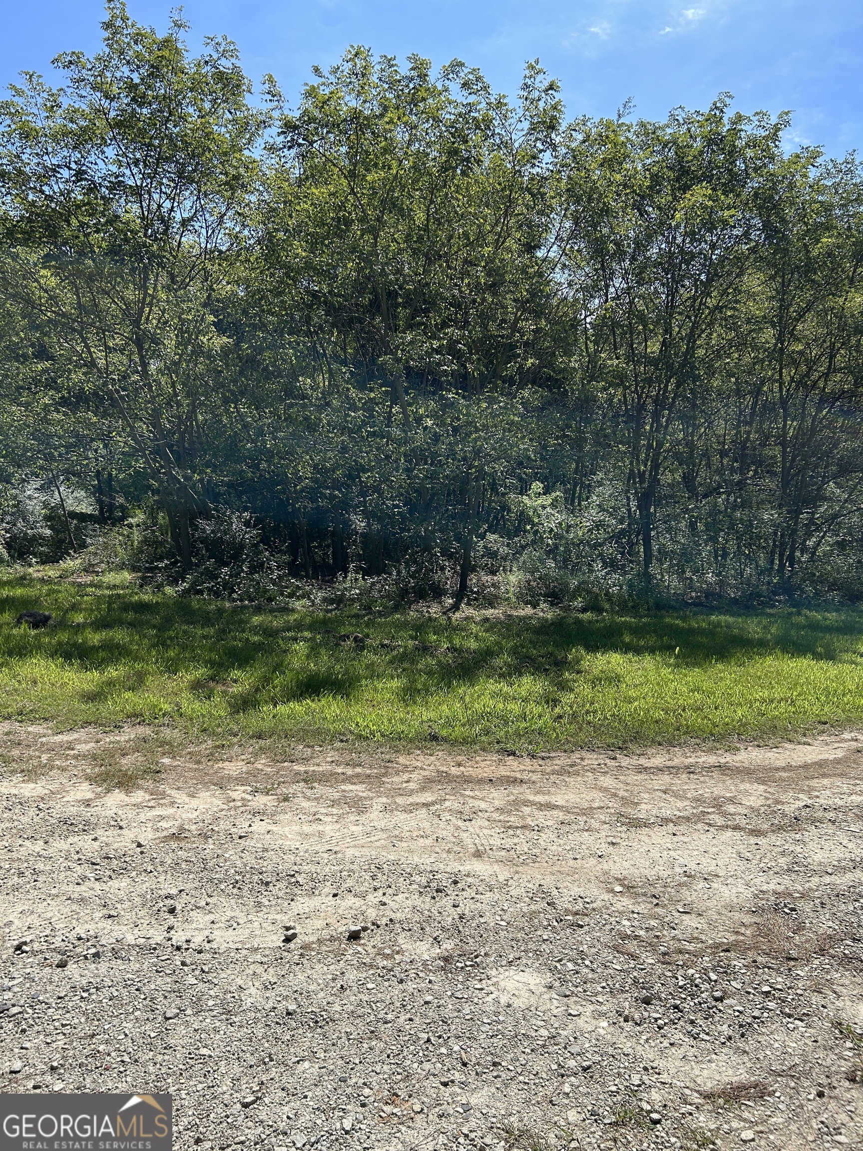 -lot A Lot A Jess Guest Road Dewy Rose, GA 30634 - Photo 7 of 7 a view of a yard with a tree