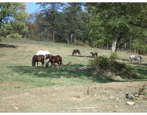 Land. 19 Rolling Acres ... horses not included