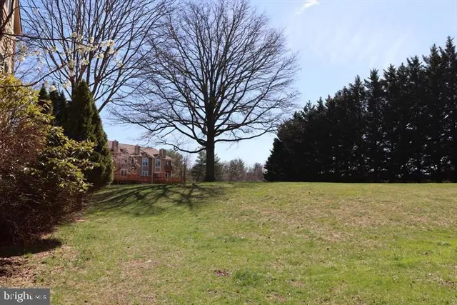 a view of outdoor space and yard