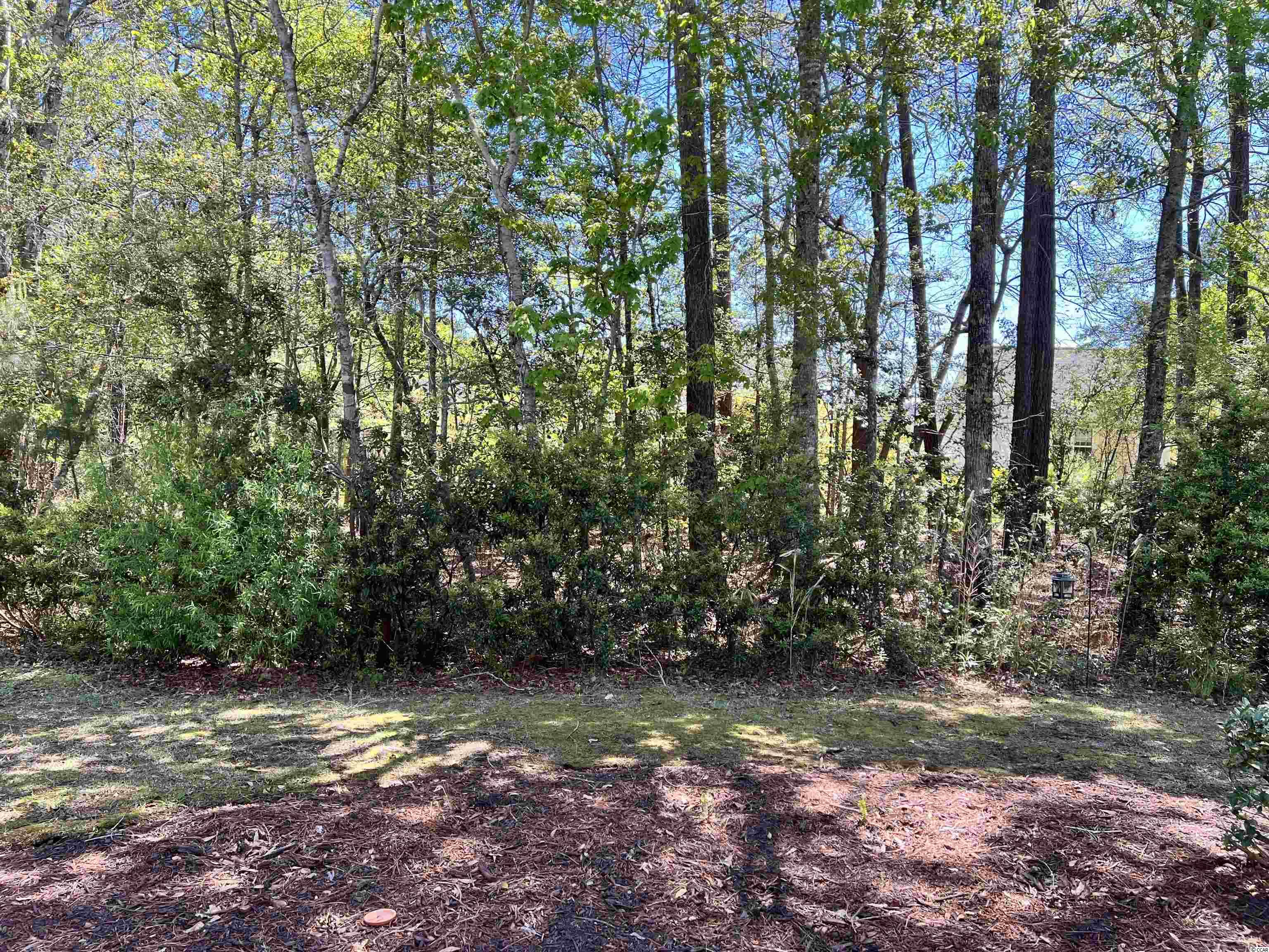 616 Indigo Bunting Lane, Unit C Murrells Inlet, SC 29576 - Photo 25 of 35