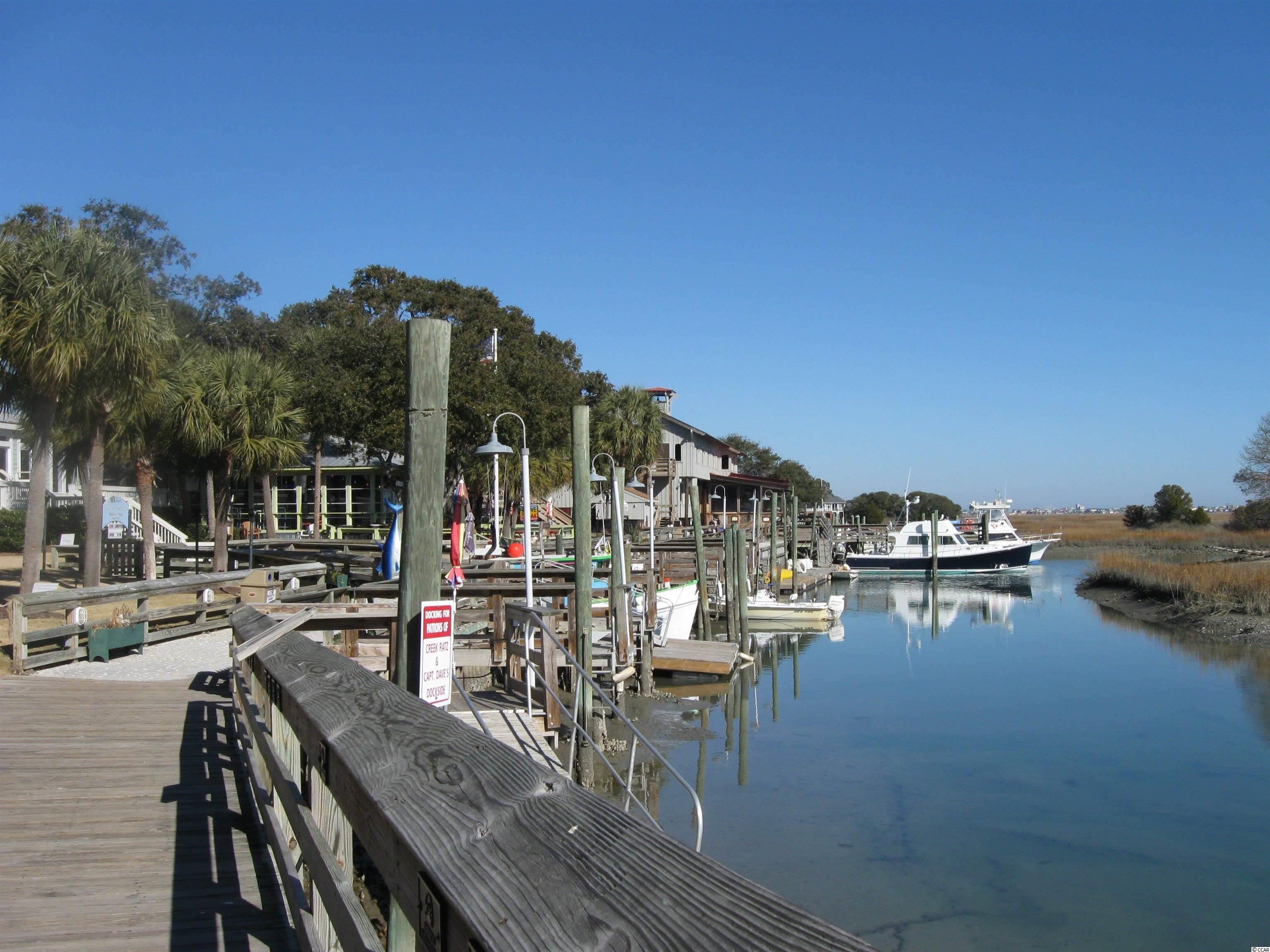 616 Indigo Bunting Lane, Unit C Murrells Inlet, SC 29576 - Photo 34 of 35