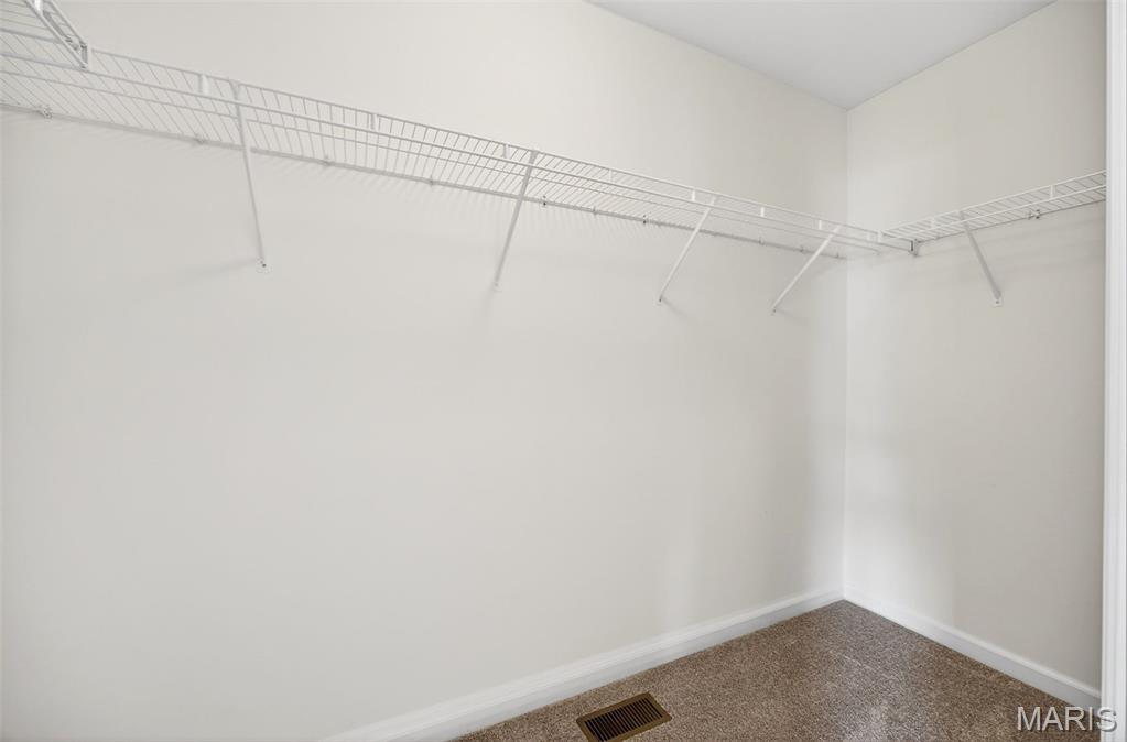 1306 Avondale Spring Drive O'Fallon, MO 63368 - Photo 43 of 74
