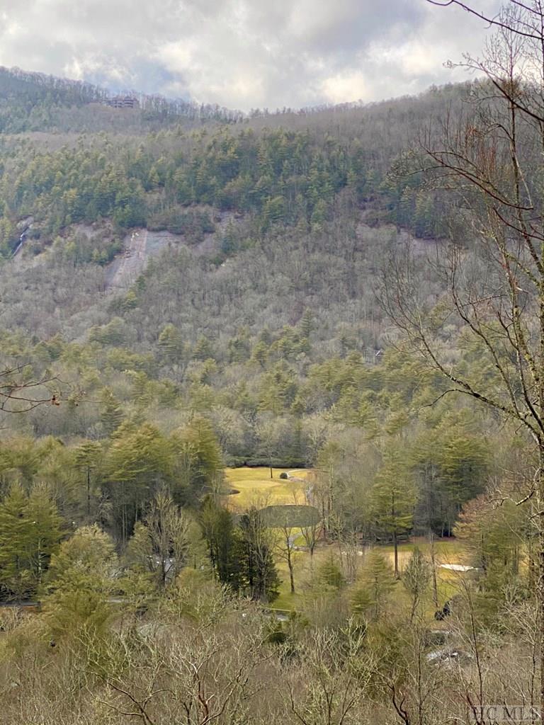 8-15 Golf View Road Sapphire, NC 28774 - Photo 5 of 10 Gallery Image 5