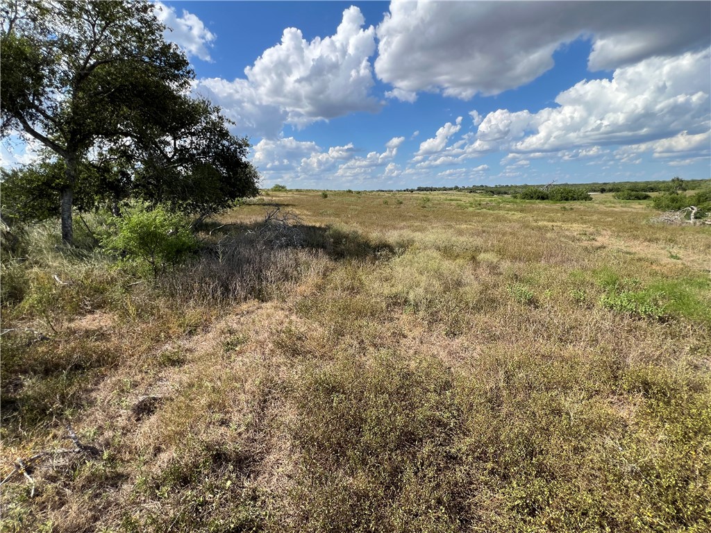351 County Road 351 Mathis, TX 78368 - Photo 13 of 24 a view of an ocean from a yard