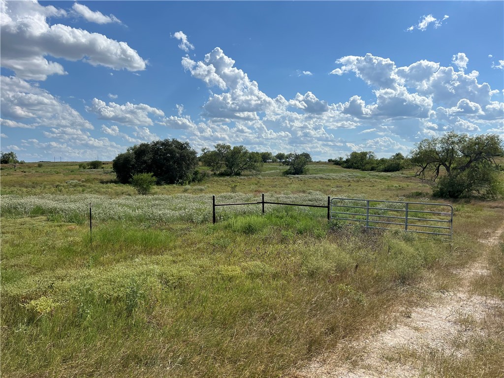 351 County Road 351 Mathis, TX 78368 - Photo 14 of 24 a view of an outdoor space and yard