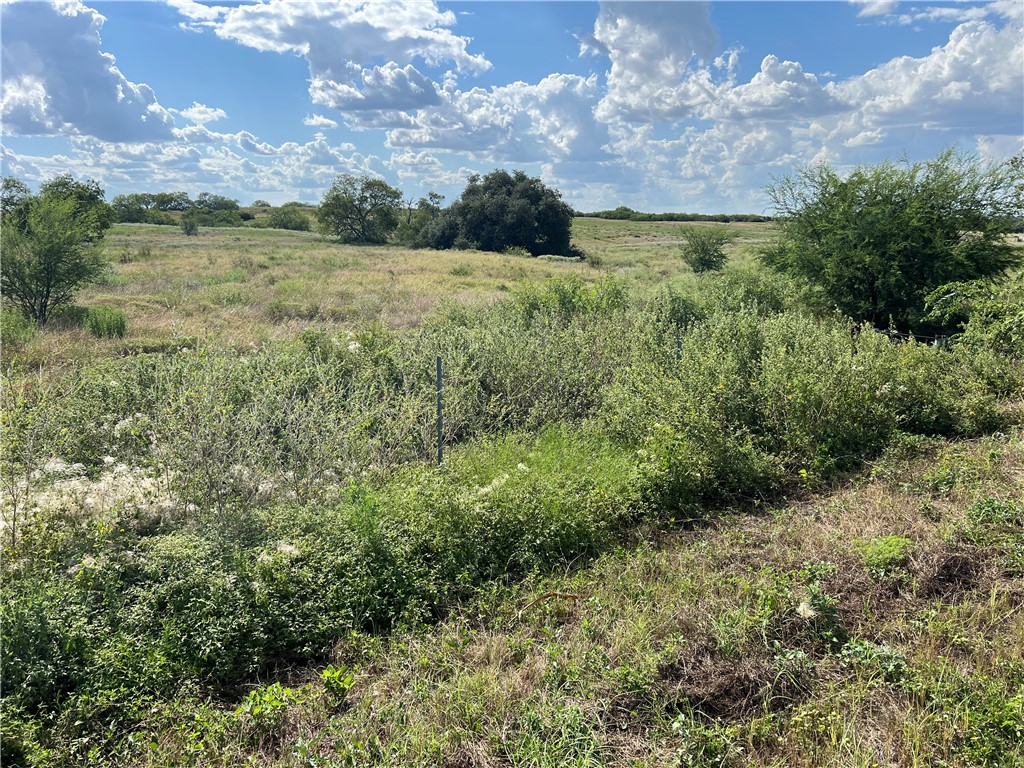 351 County Road 351 Mathis, TX 78368 - Photo 20 of 24 a view of a lush green forest