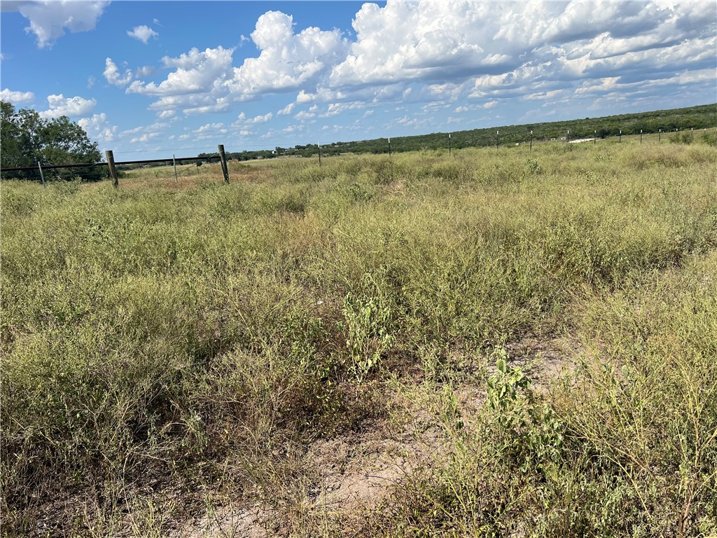 351 County Road 351 Mathis, TX 78368 - Photo 2 of 24 a view of a yard