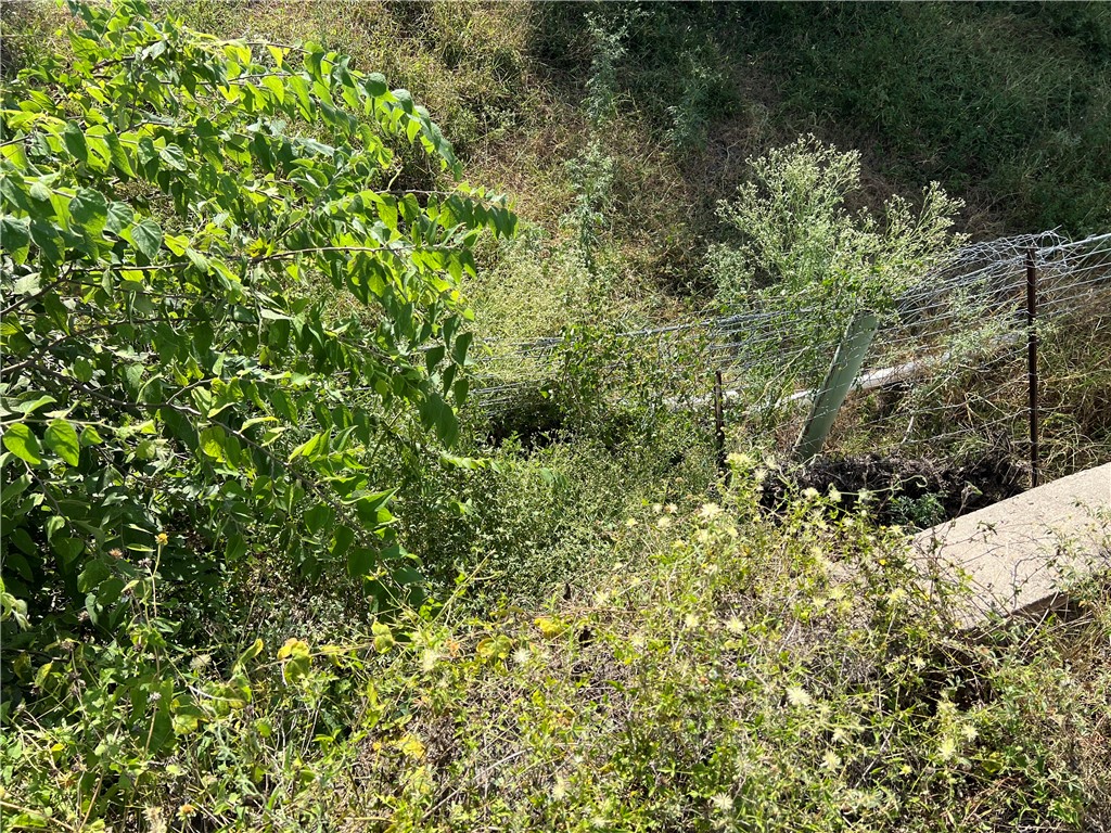 351 County Road 351 Mathis, TX 78368 - Photo 21 of 24 a view of a forest with a tree