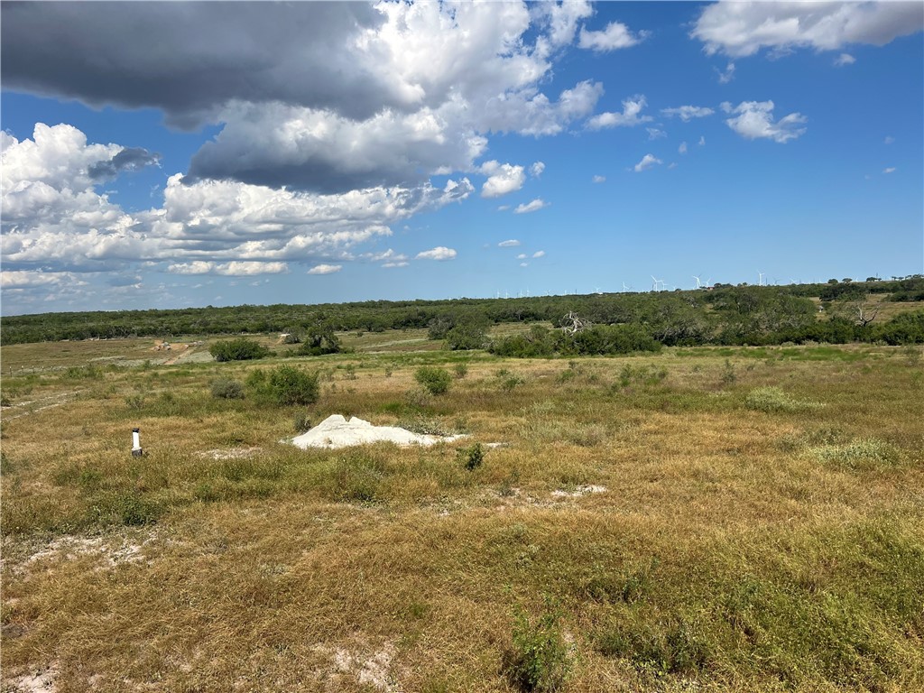 351 County Road 351 Mathis, TX 78368 - Photo 6 of 24
