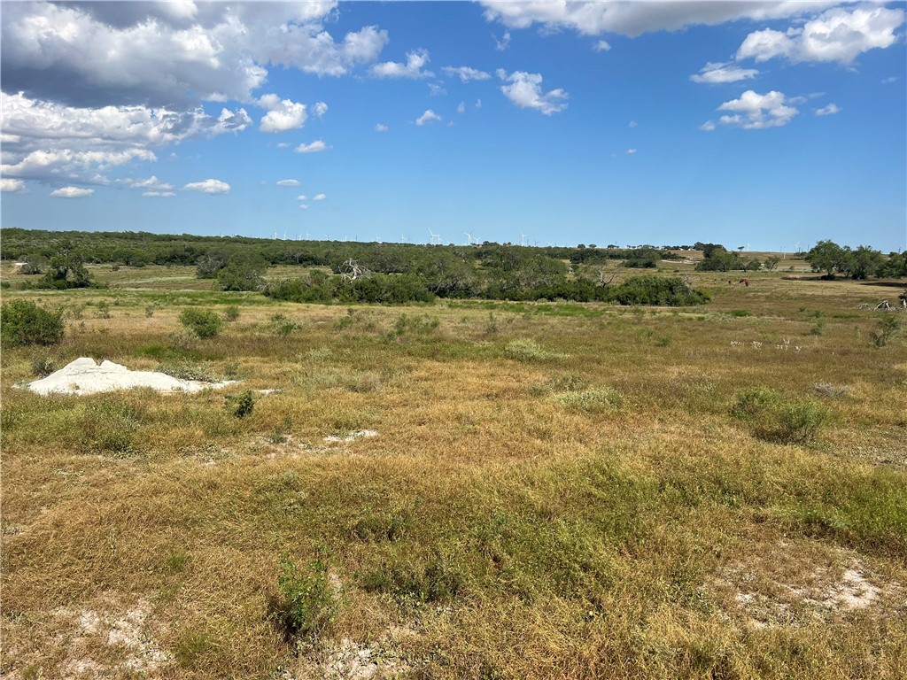 351 County Road 351 Mathis, TX 78368 - Photo 7 of 24 a view of an ocean