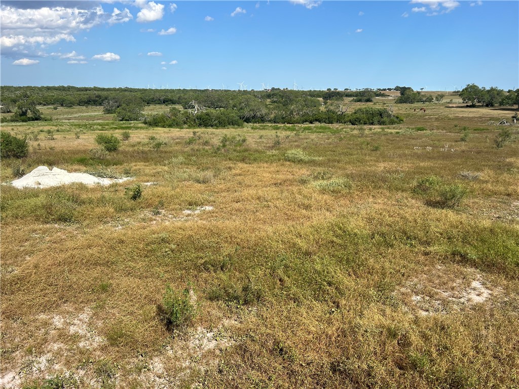 351 County Road 351 Mathis, TX 78368 - Photo 10 of 24 a view of an ocean