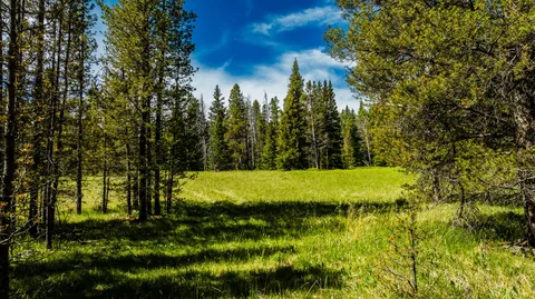 $5,750,000 | Hazelton Road, Buffalo, WY 82834