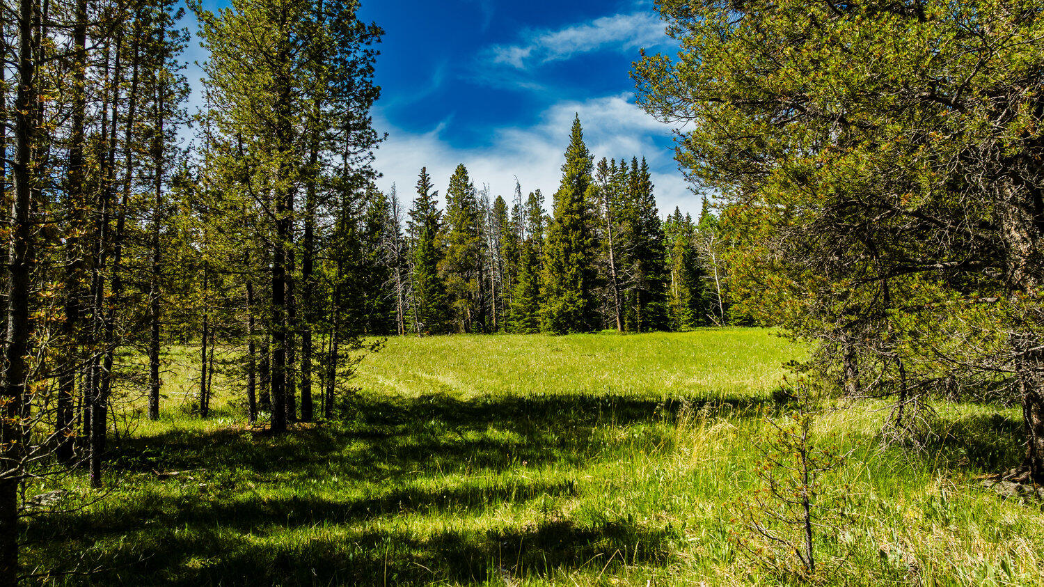 Hazelton Road Buffalo, WY 82834 - Photo 19 of 79 018_dji_20250628102326_0518_d_489
