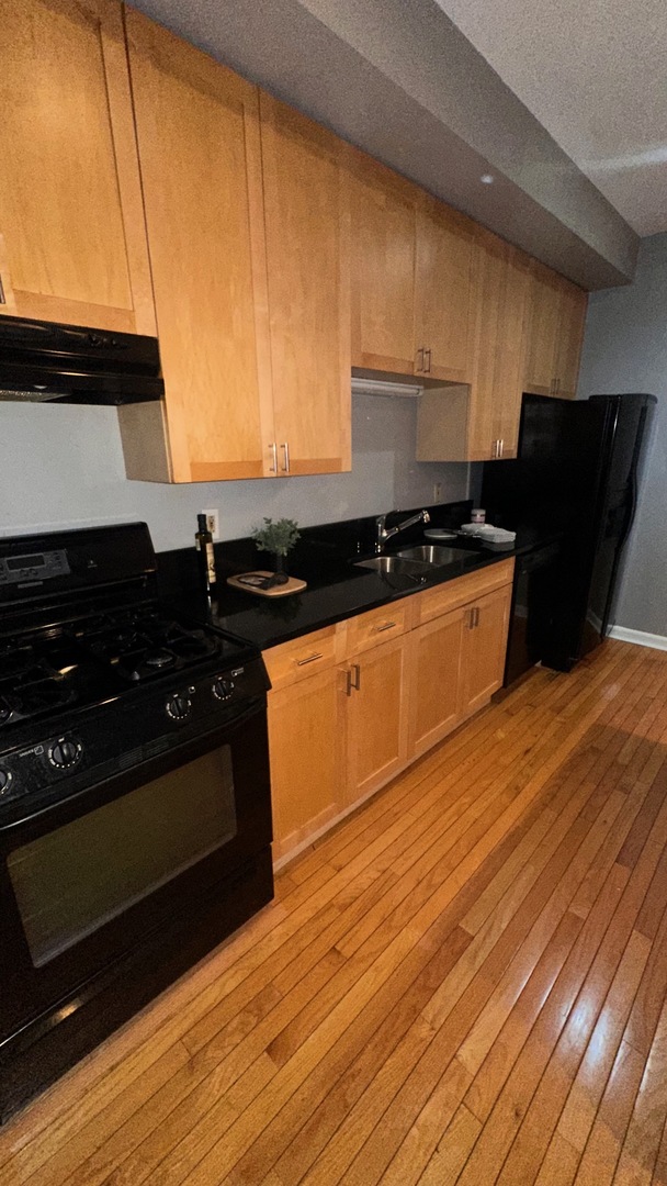 6714 South Chappel Avenue, Unit 2 Chicago, IL 60649 - Photo 9 of 10 a kitchen with granite countertop a stove and a refrigerator