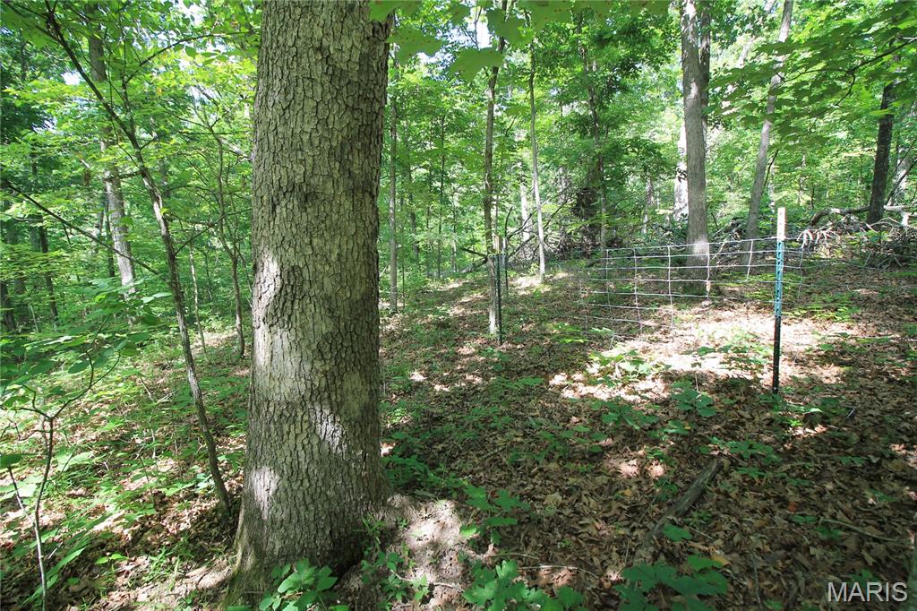 0 Gibson Road Lonedell, MO 63060 - Photo 12 of 28