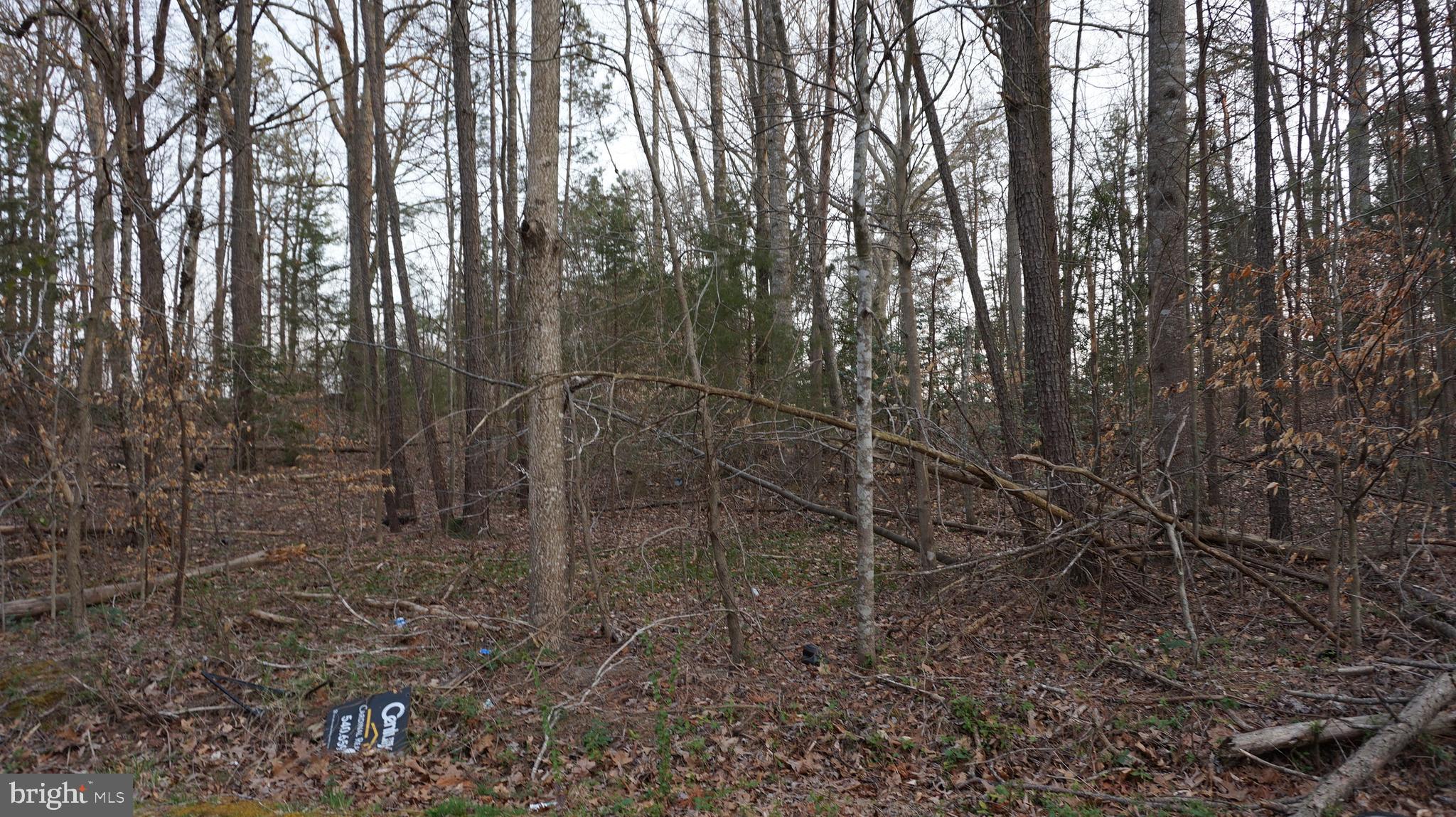 Vip Jon Road Woodford, VA 22580 - Photo 11 of 20 Gallery Image 11