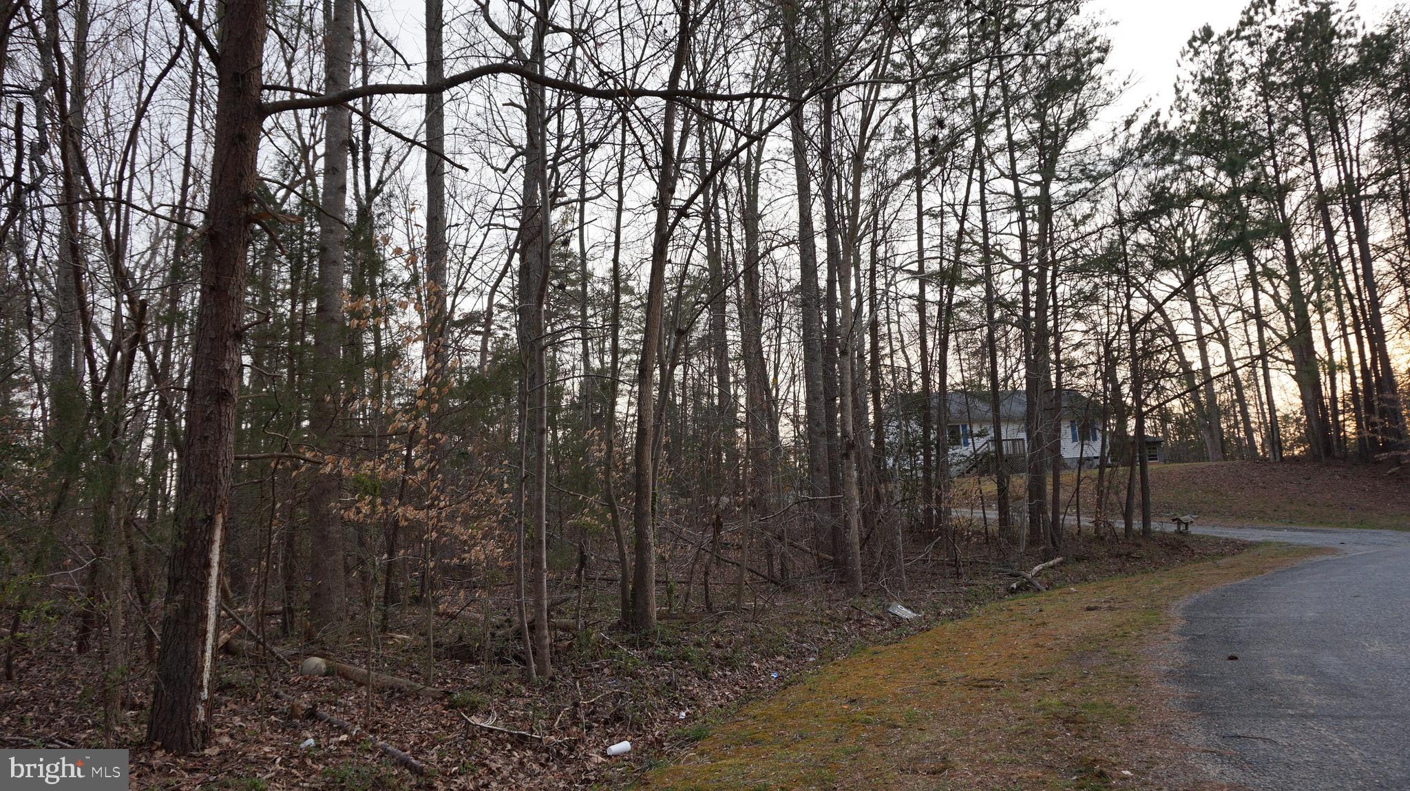 Vip Jon Road Woodford, VA 22580 - Photo 12 of 20 Gallery Image 12