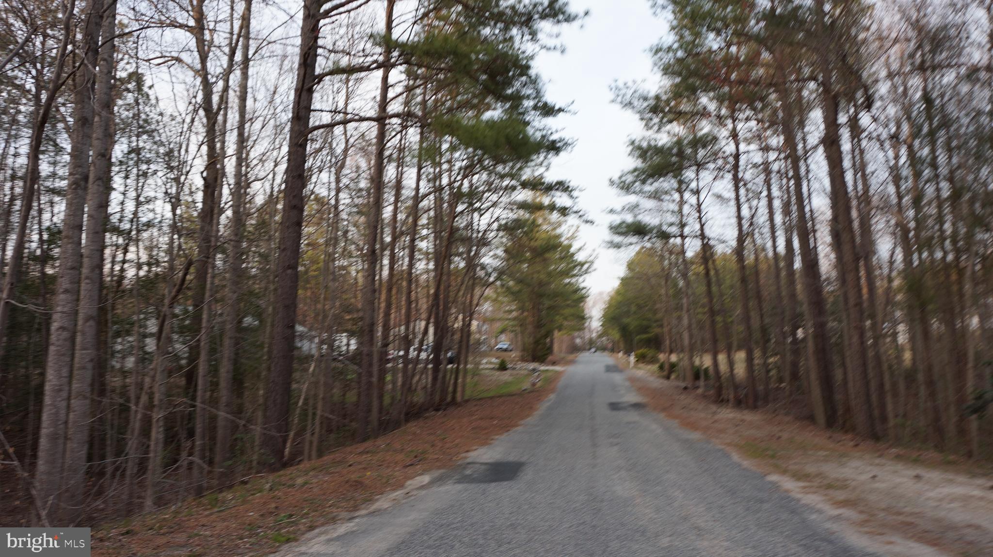 Vip Jon Road Woodford, VA 22580 - Photo 16 of 20 Gallery Image 16