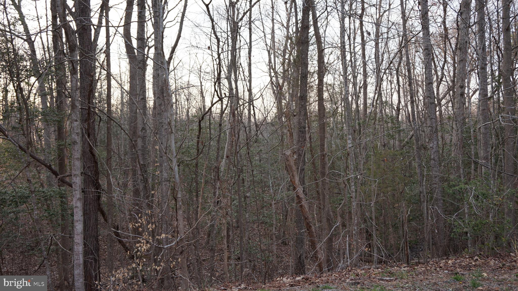 Vip Jon Road Woodford, VA 22580 - Photo 8 of 20 Gallery Image 8