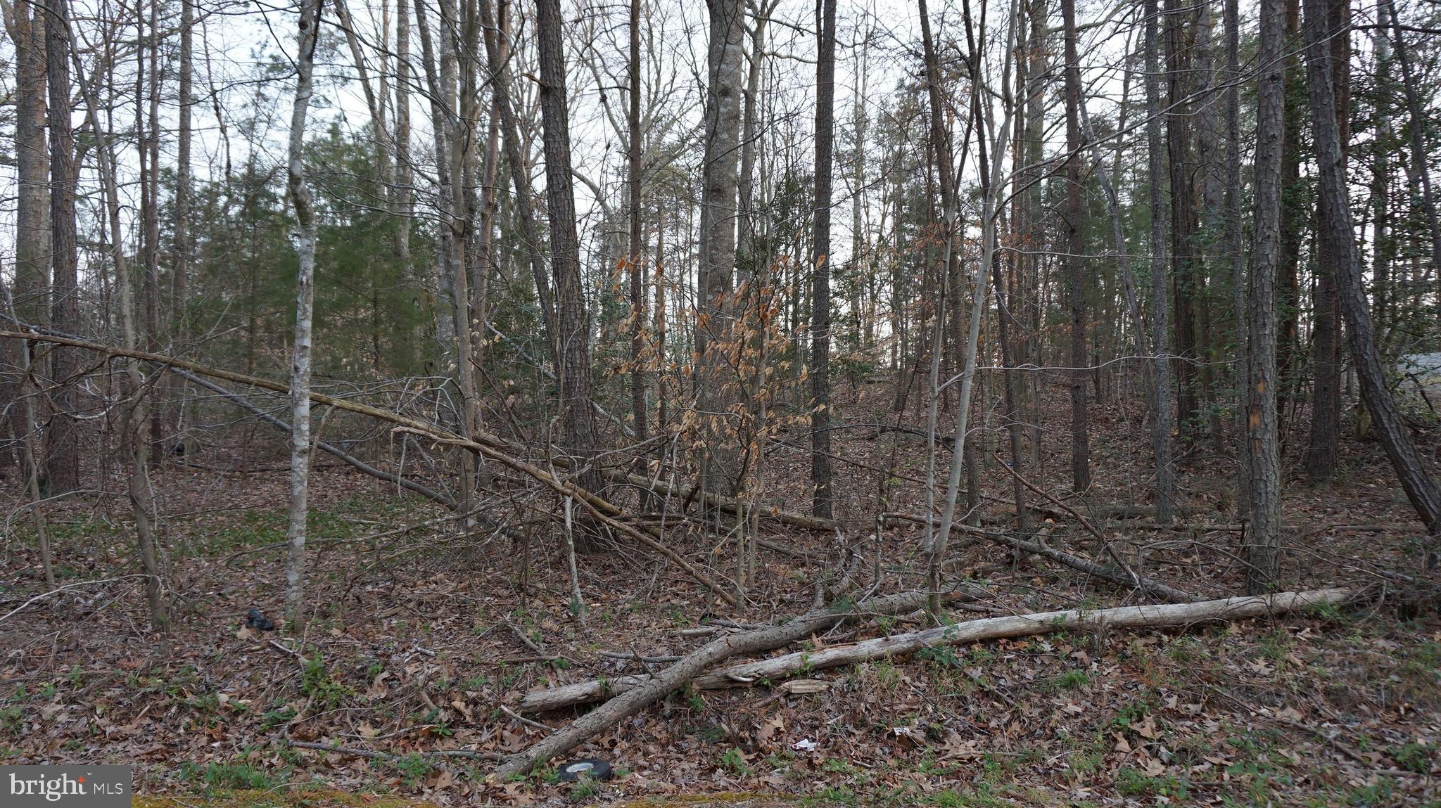 Vip Jon Road Woodford, VA 22580 - Photo 10 of 20 Gallery Image 10