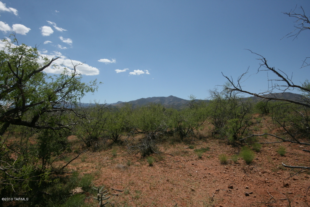 81483 East Goldbug Road Oracle, AZ 85623 - Photo 10 of 12