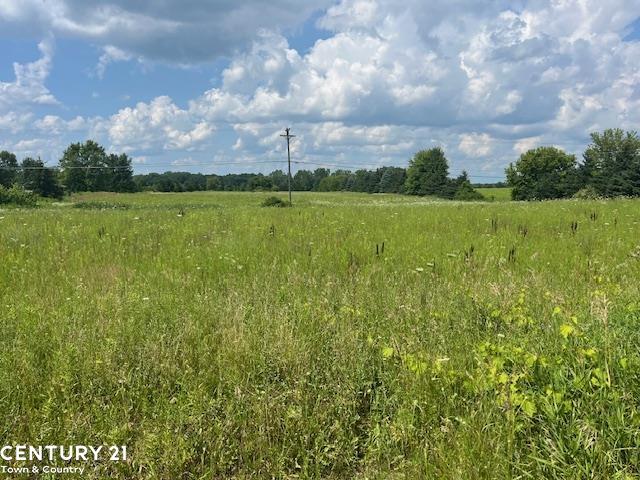 6839 Dryden Road Almont, MI 48003 - Photo 1 of 7