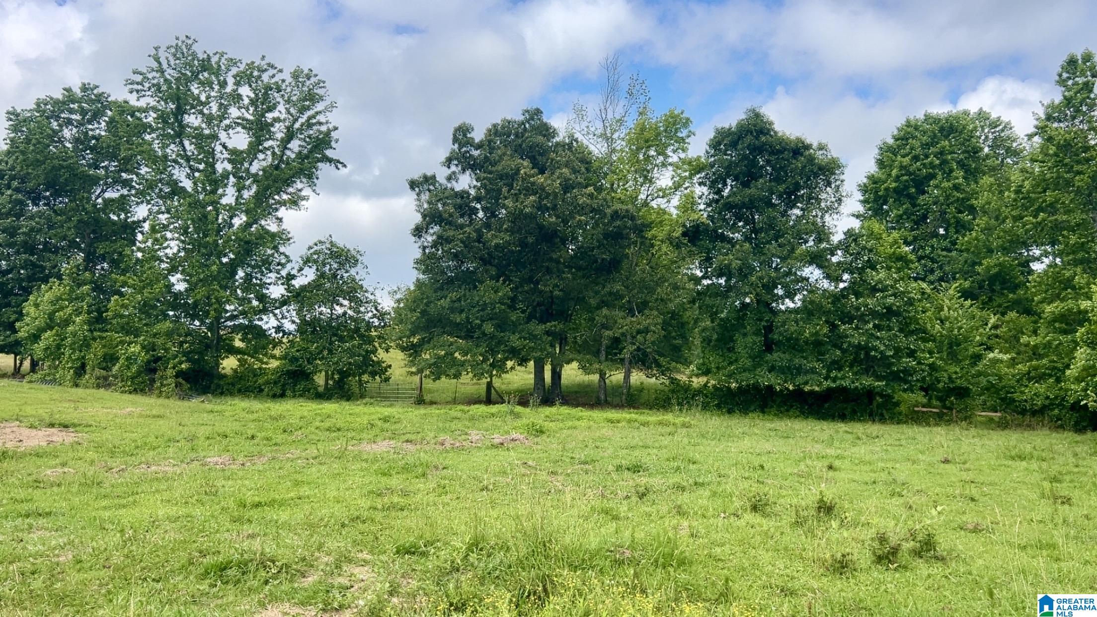 988 Mines Road, Unit 100 Ashland, AL 36251 - Photo 9 of 17