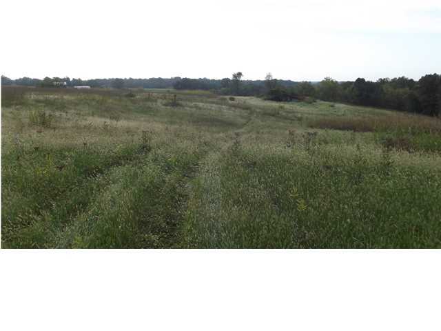 0 Cedarmore Road Pleasureville, KY 40057 - Photo 1 of 7 Primary Photo
