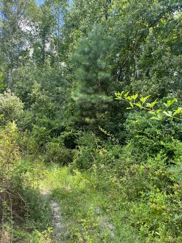 $69,900 | 5 Brunson Teal Road, Unit BFF 5, Patrick, SC 29584