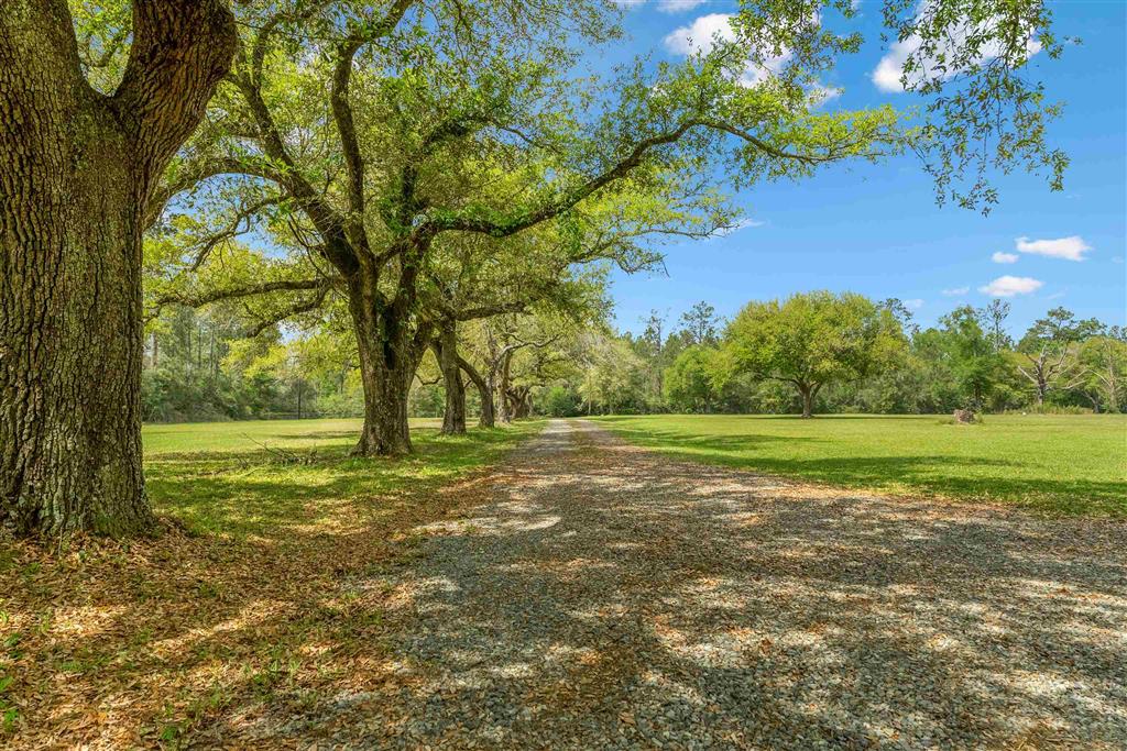 888 Sellers Road Longville, LA 70652 - Photo 11 of 62