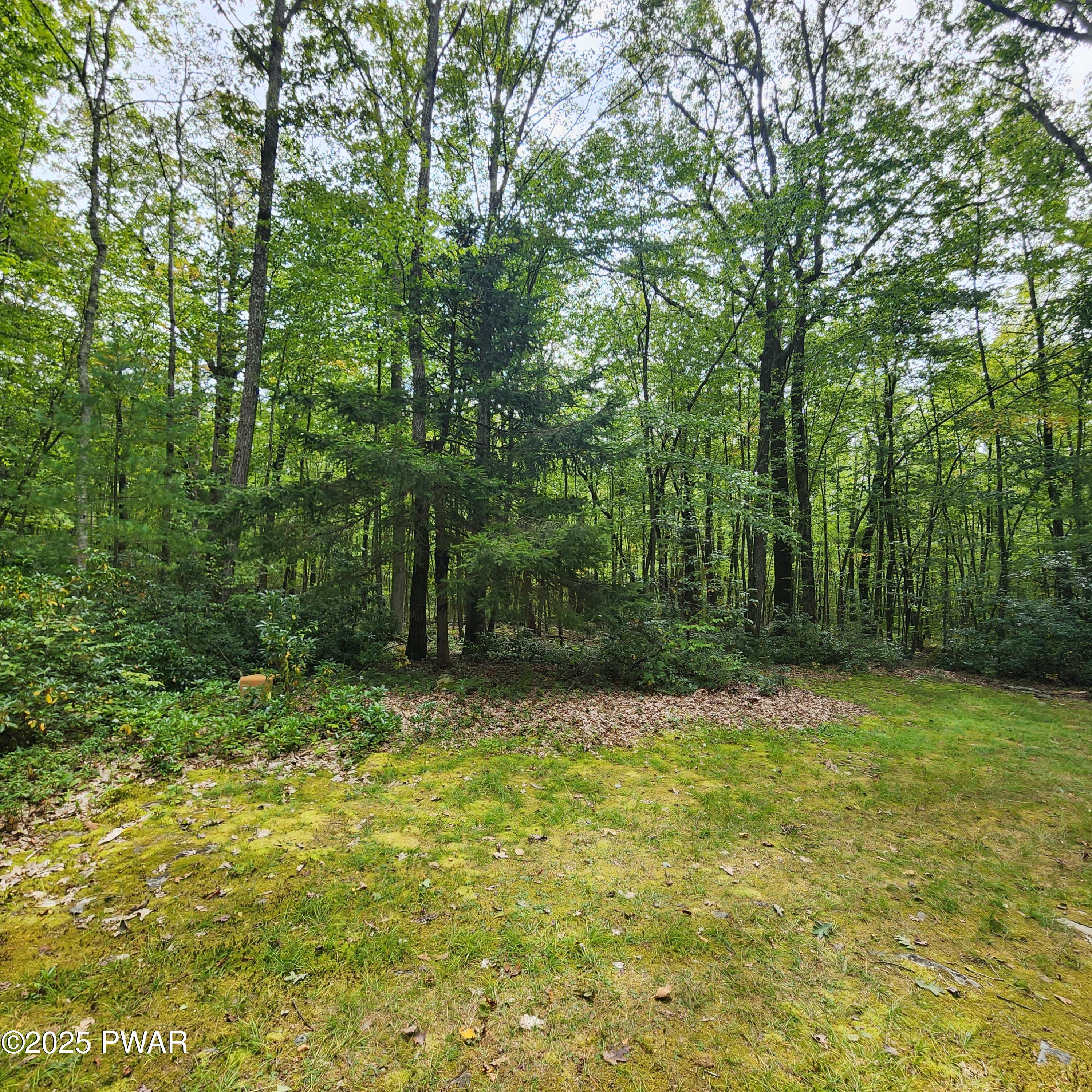 298 White Deer Lake Road Hawley, PA 18428 - Photo 11 of 11