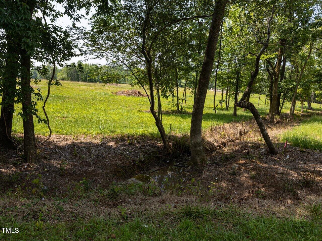 287 Buck Gunter Road Siler City, NC 27344 - Photo 10 of 13 33-042-Tract03-Chatham-Parcel-14928-5Tra