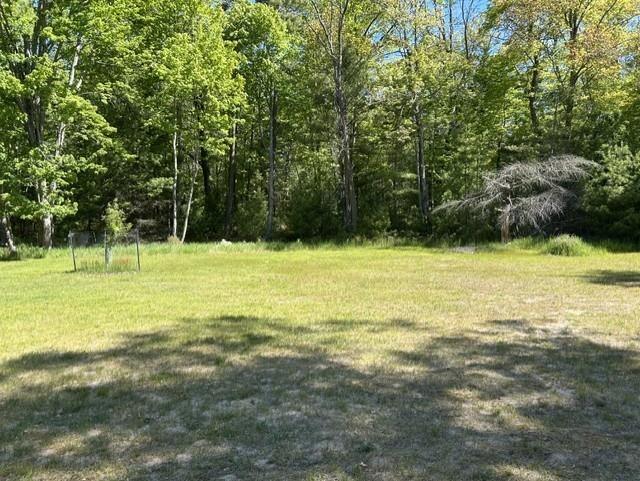 22 Baldwin Resort Road East Tawas, MI 48730 - Photo 6 of 72