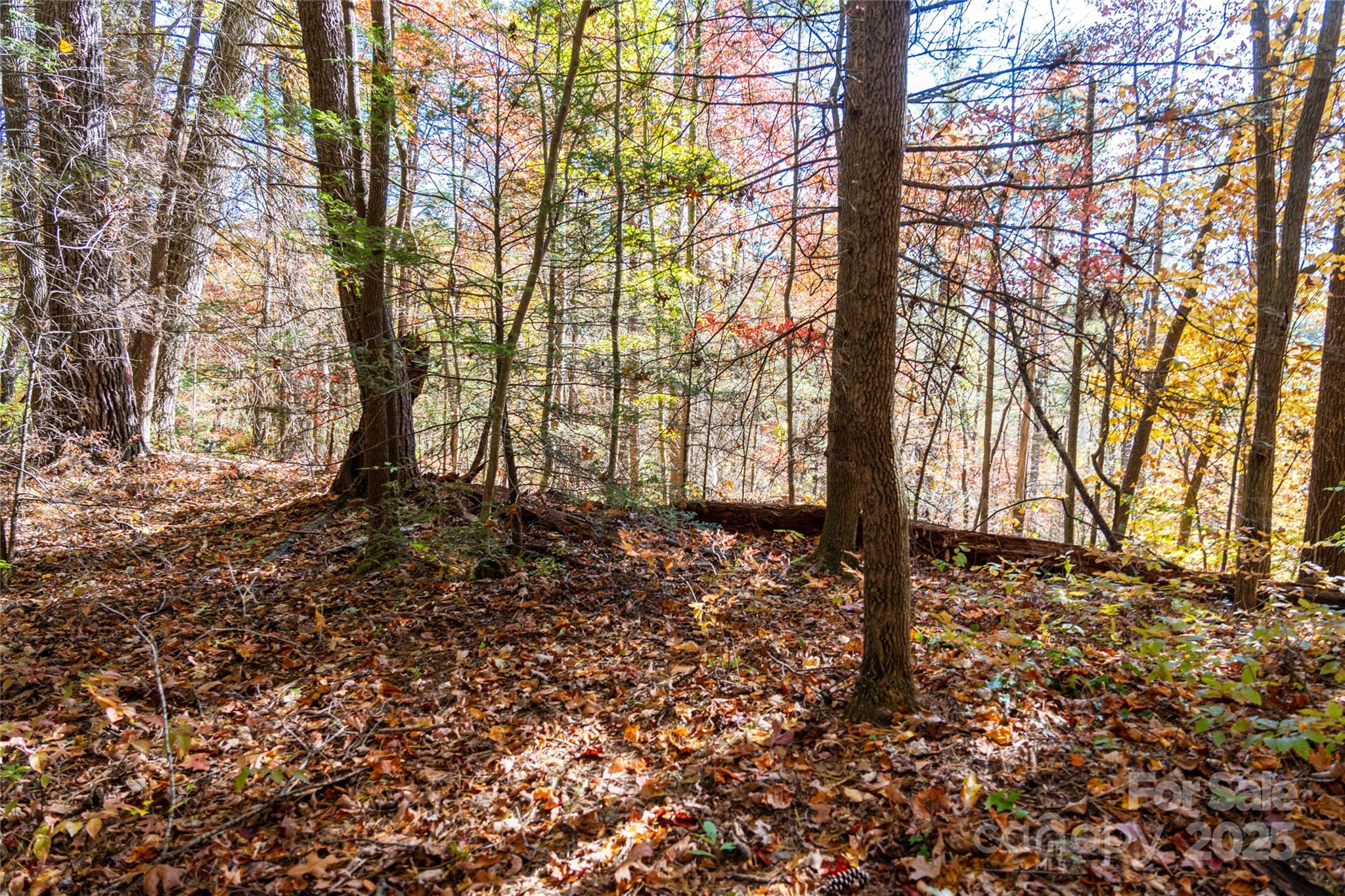 0 Forest Service Road 288 Road Clyde, NC 28721 - Photo 15 of 30 a backyard of a house with lots of green space