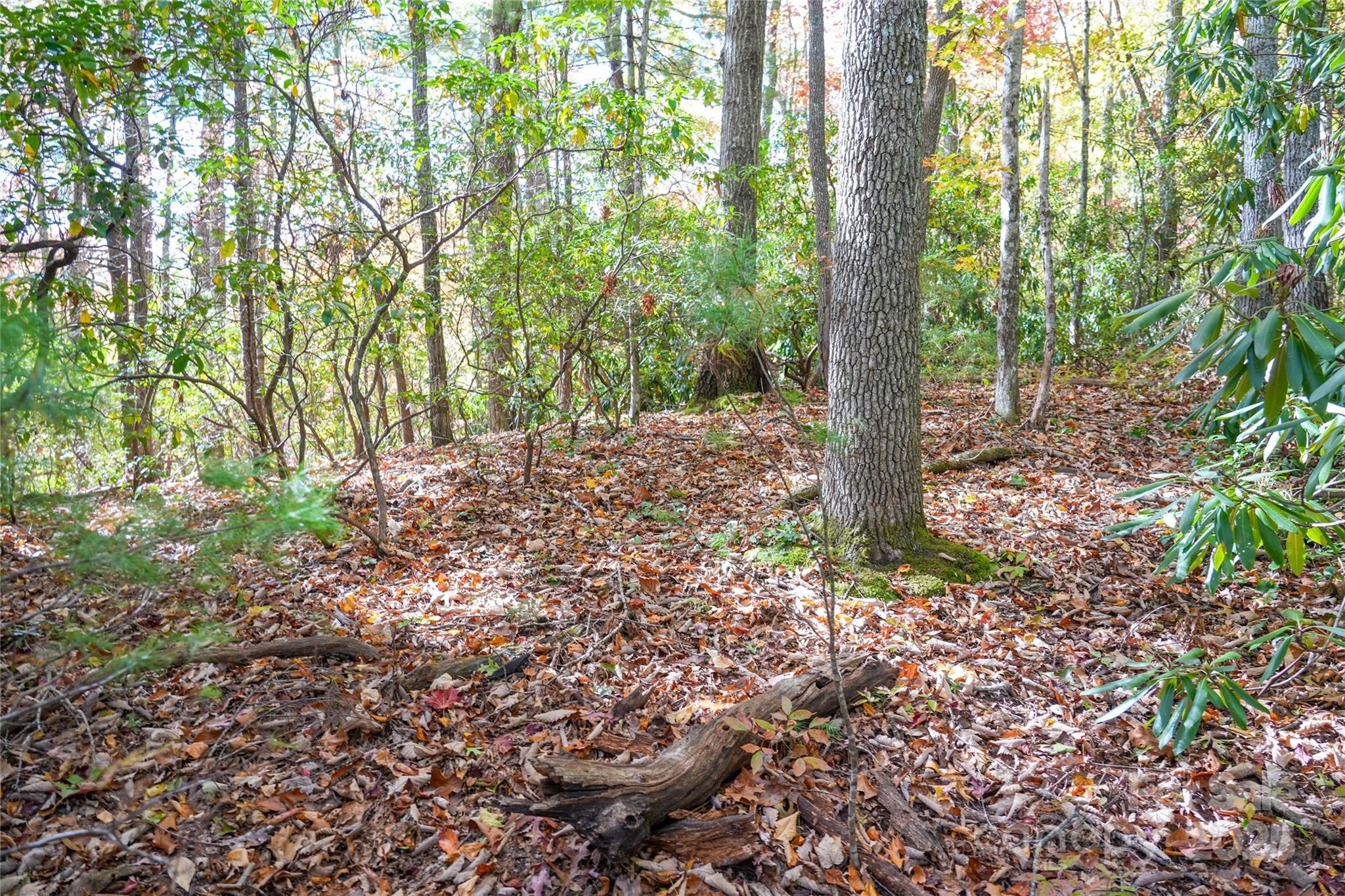 0 Forest Service Road 288 Road Clyde, NC 28721 - Photo 23 of 30 a backyard of a house with lots of green space