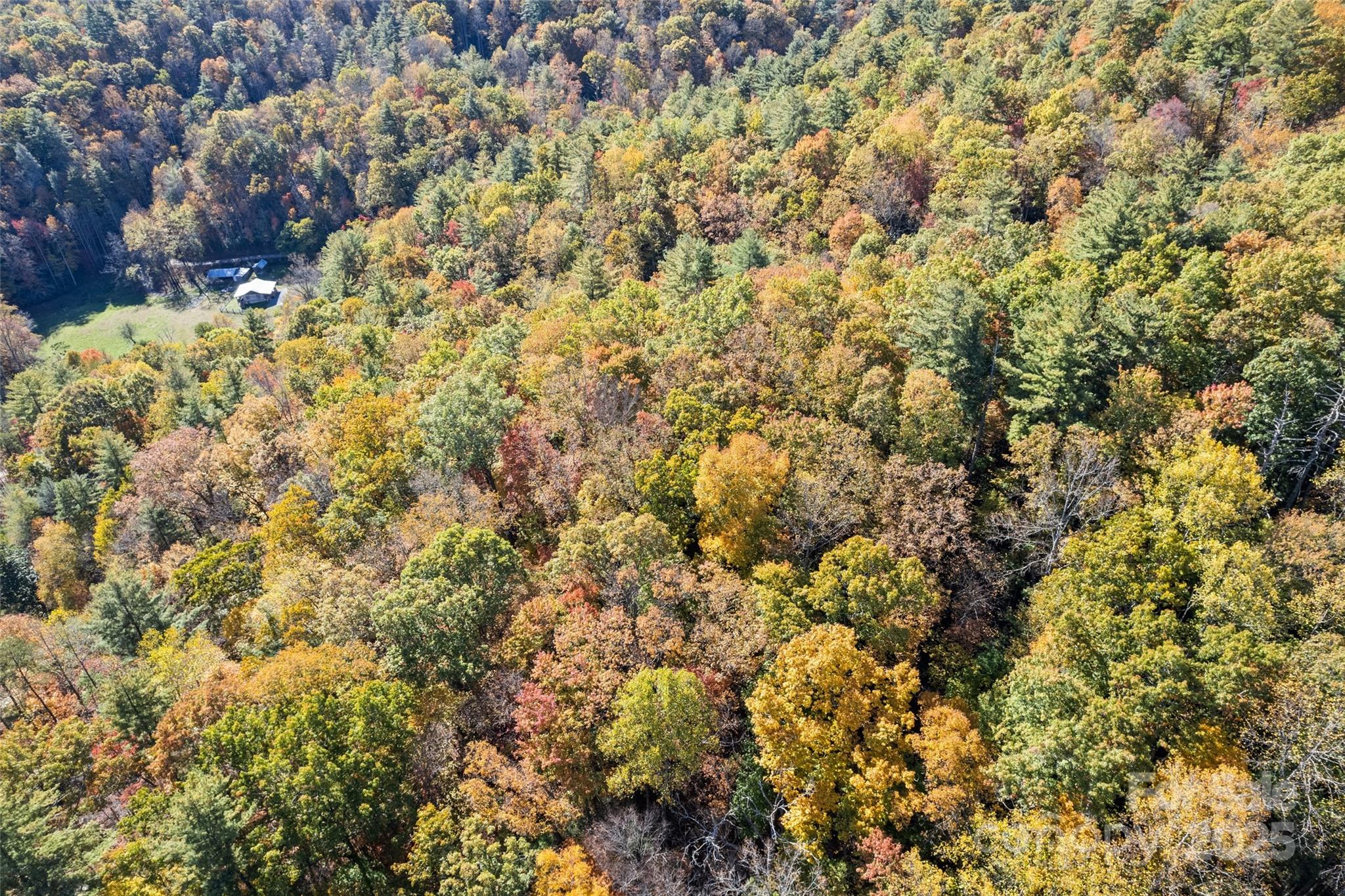 0 Forest Service Road 288 Road Clyde, NC 28721 - Photo 28 of 30 a view of a yard