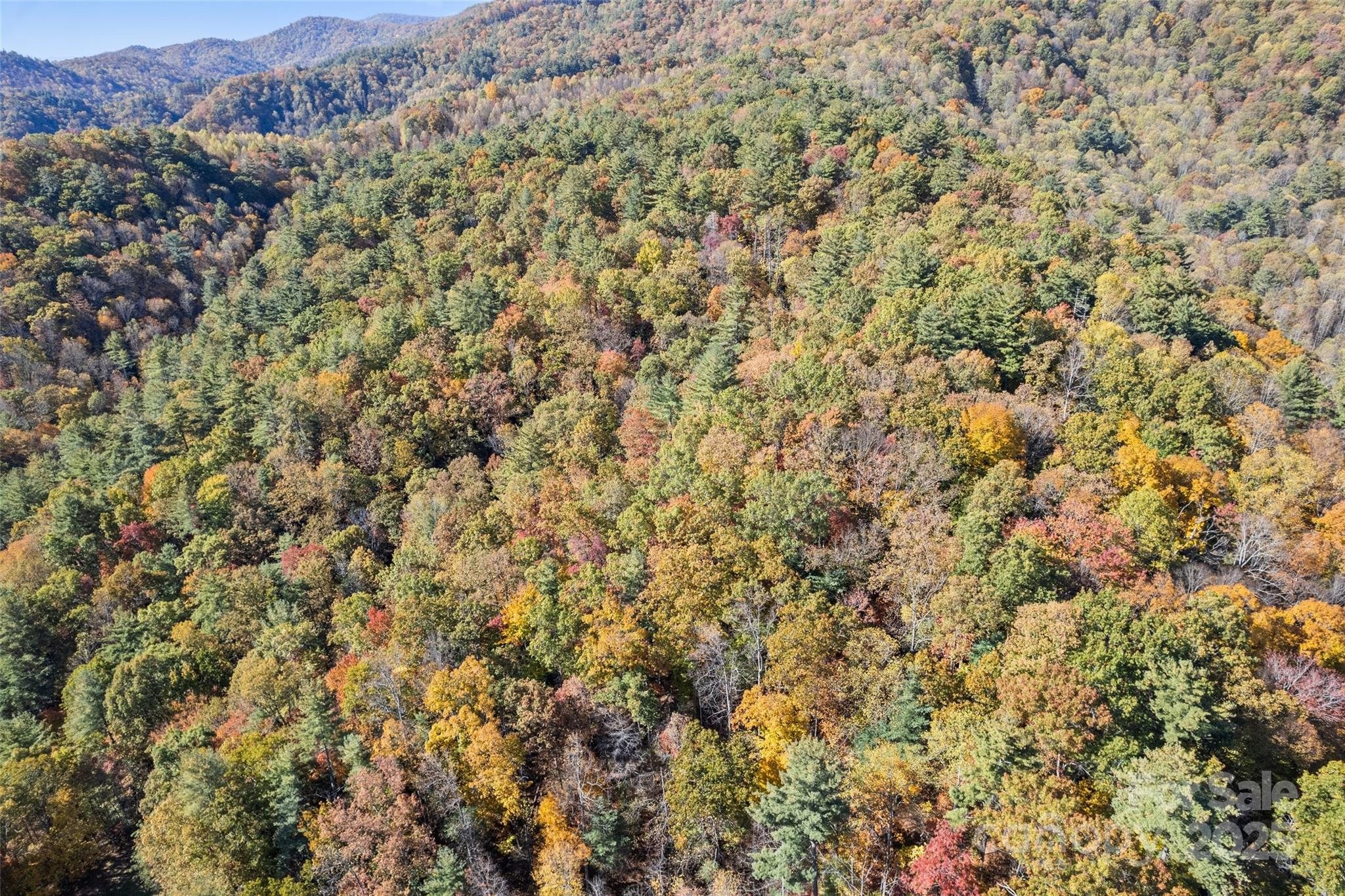 0 Forest Service Road 288 Road Clyde, NC 28721 - Photo 29 of 30