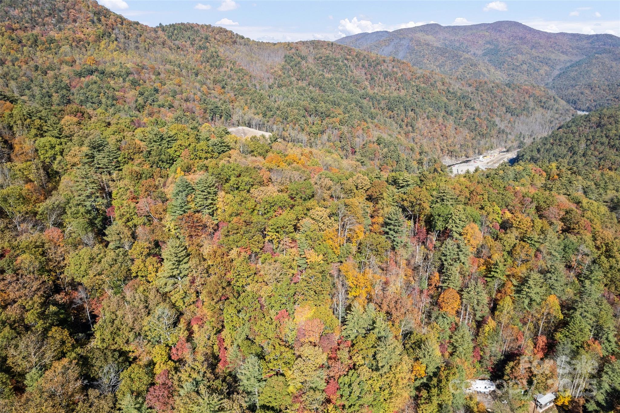 0 Forest Service Road 288 Road Clyde, NC 28721 - Photo 30 of 30 a view of a large mountains with lots of bushes