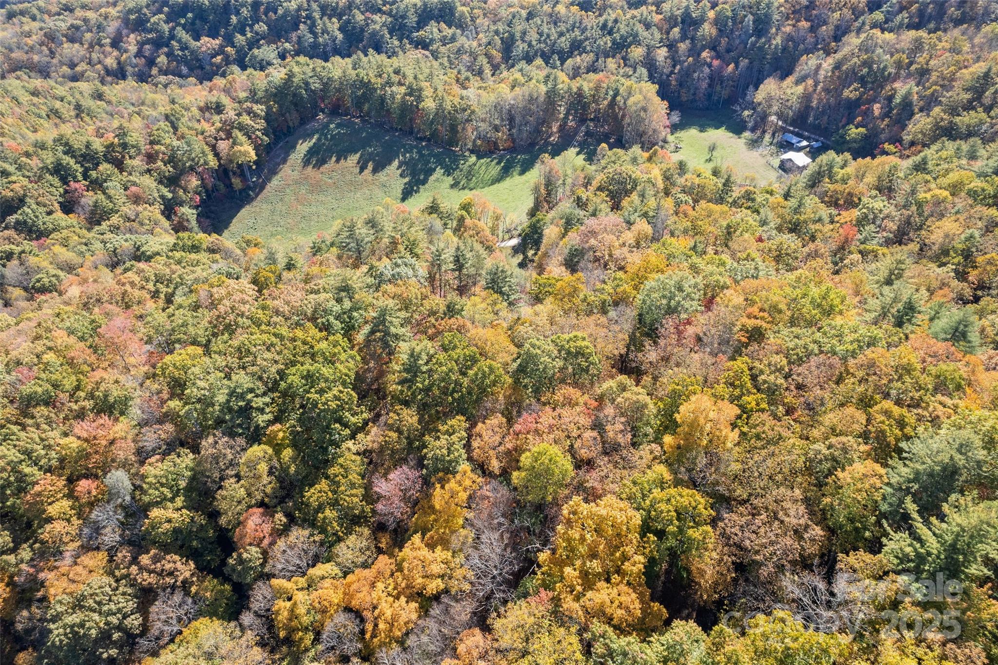 0 Forest Service Road 288 Road Clyde, NC 28721 - Photo 3 of 30