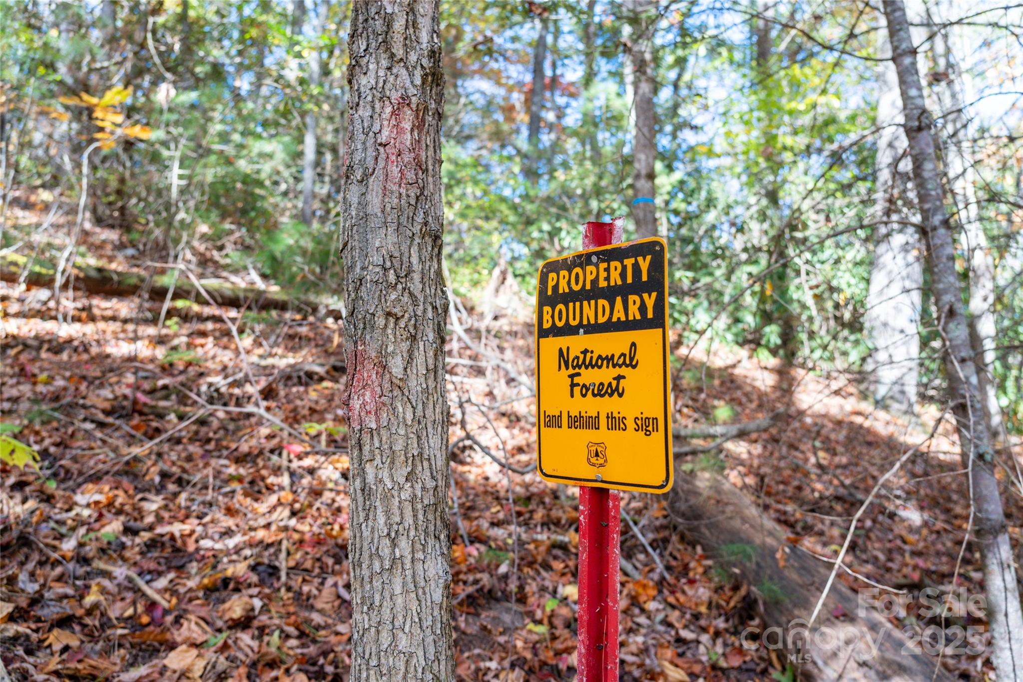 0 Forest Service Road 288 Road Clyde, NC 28721 - Photo 6 of 30 a sign that is on a pole