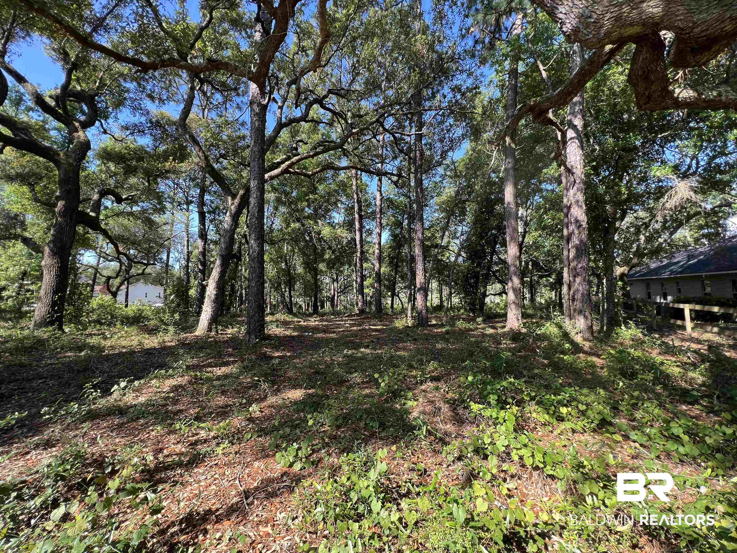 9545 North Bayou Road Lillian, AL 36549 - Photo 8 of 34 View of yard