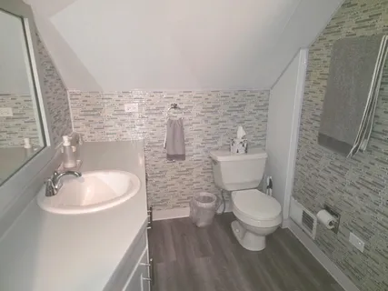 a bathroom with a toilet a sink and mirror
